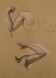 Due studi delle spalle e delle braccia alzate di una ragazza per 